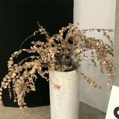 循化FurryQQ群介绍